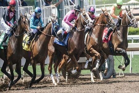 Horse Racing